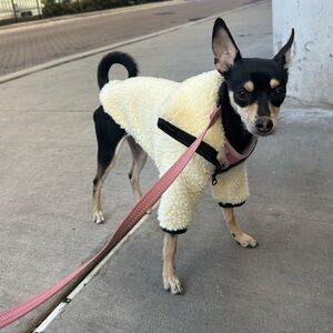 Hilary’s Hounds Custom Made Sherpa Fleece Lined Coat